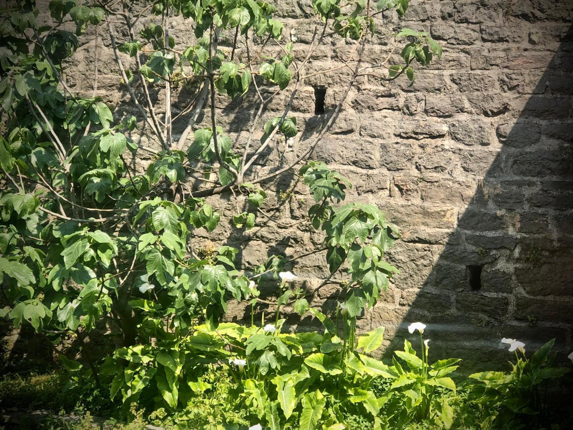 Villa Torre - Atmosfera Romantica Brenzone sul Garda Exterior foto